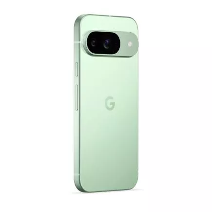 Смартфон Google Pixel 9 Wintergreen 4 Смартфон Google Pixel 9 Wintergreen 4