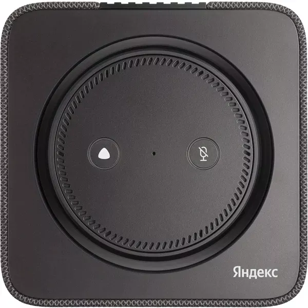 Умная колонка Яндекс Станция Макс YNDX-00053K с Zigbee (Черная) 2