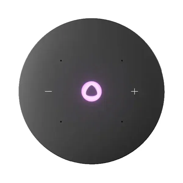 Умная колонка Яндекс Станция Мини 3 Про (YNDX-00059) Серая 3