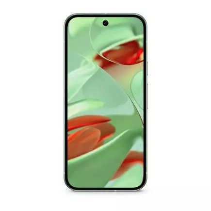 Смартфон Google Pixel 9 Wintergreen 2 Смартфон Google Pixel 9 Wintergreen 2