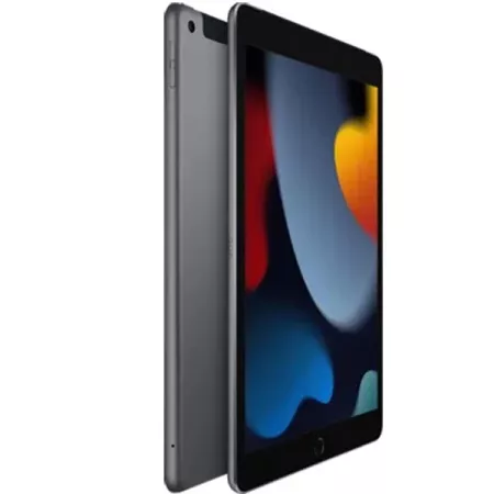 Ipad 2021 Серый 3