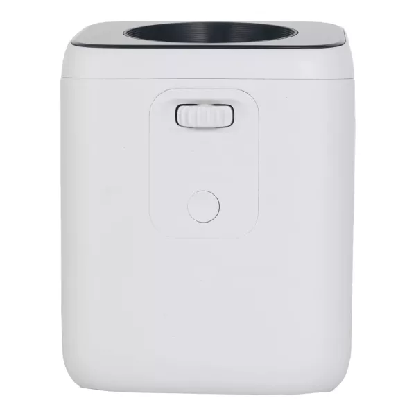 Проектор Wanbo Projector T2 Max 4