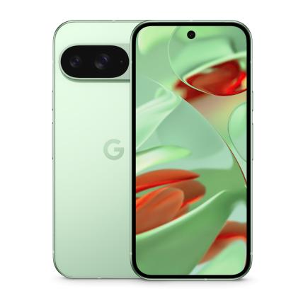 Смартфон Google Pixel 9 Wintergreen 1