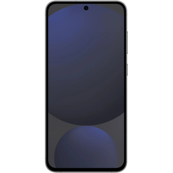 Samsung Galaxy S24 FE 5G 8+128Gb Графит 2